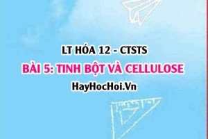 Công thức cấu tạo của Tinh bột, Cellulose? tính chất hóa học, ứng dụng của tinh bột và Cellulose? Hóa 12 bài 5 CTST